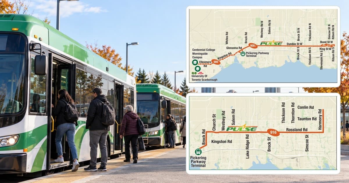Illustrative transit bus beside the official DRT PULSE 900 and 916 maps.